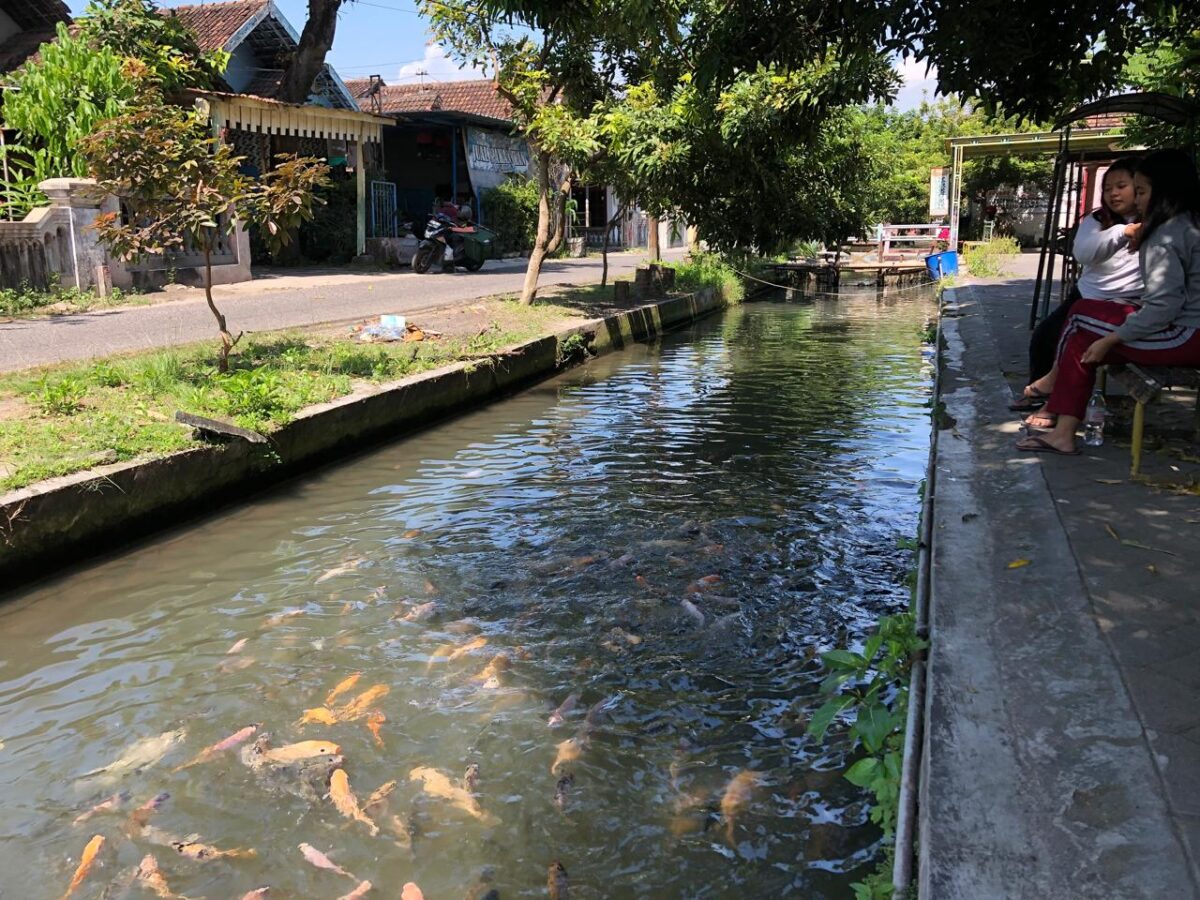 WhatsApp Image 2025 07 06 at 11.54.37 AM