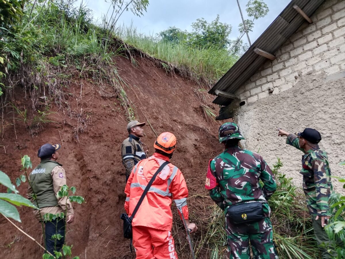 WhatsApp Image 2025 07 06 at 22.08.27 9920c67e 1 WhatsApp Image 2025 07 06 at 22.08.27 9920c67e