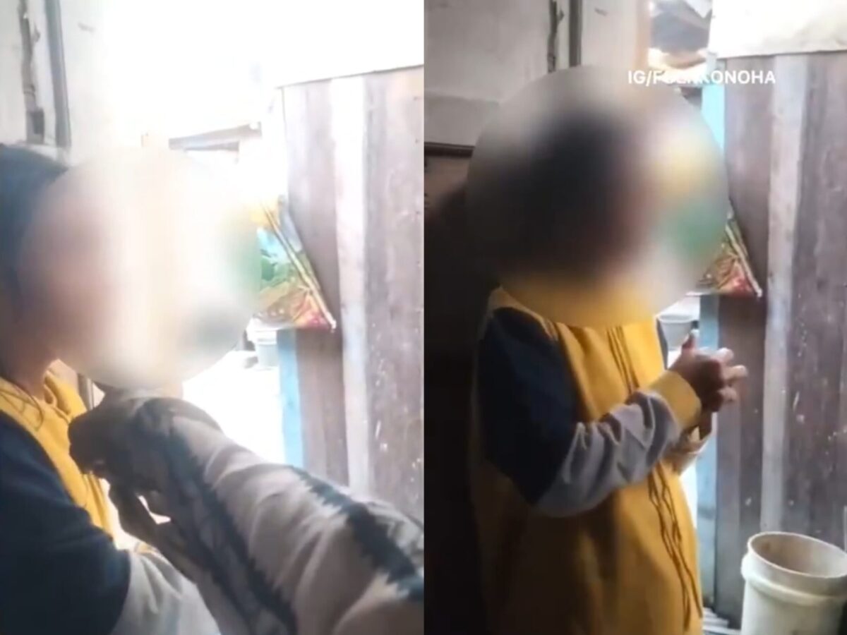 WhatsApp Image 2025 07 12 at 10.54.43 bafb2901 1 WhatsApp Image 2025 07 12 at 10.54.43 bafb2901