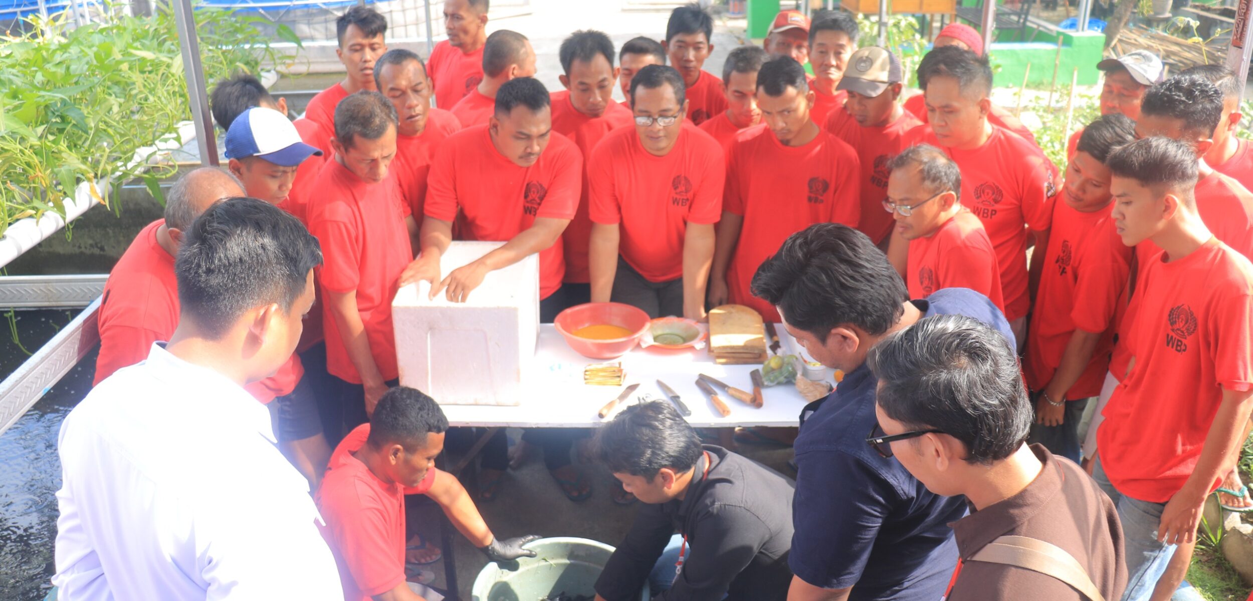 WhatsApp Image 2025 07 16 at 2.22.32 PM 1 WhatsApp Image 2025 07 16 at 2.22.32 PM