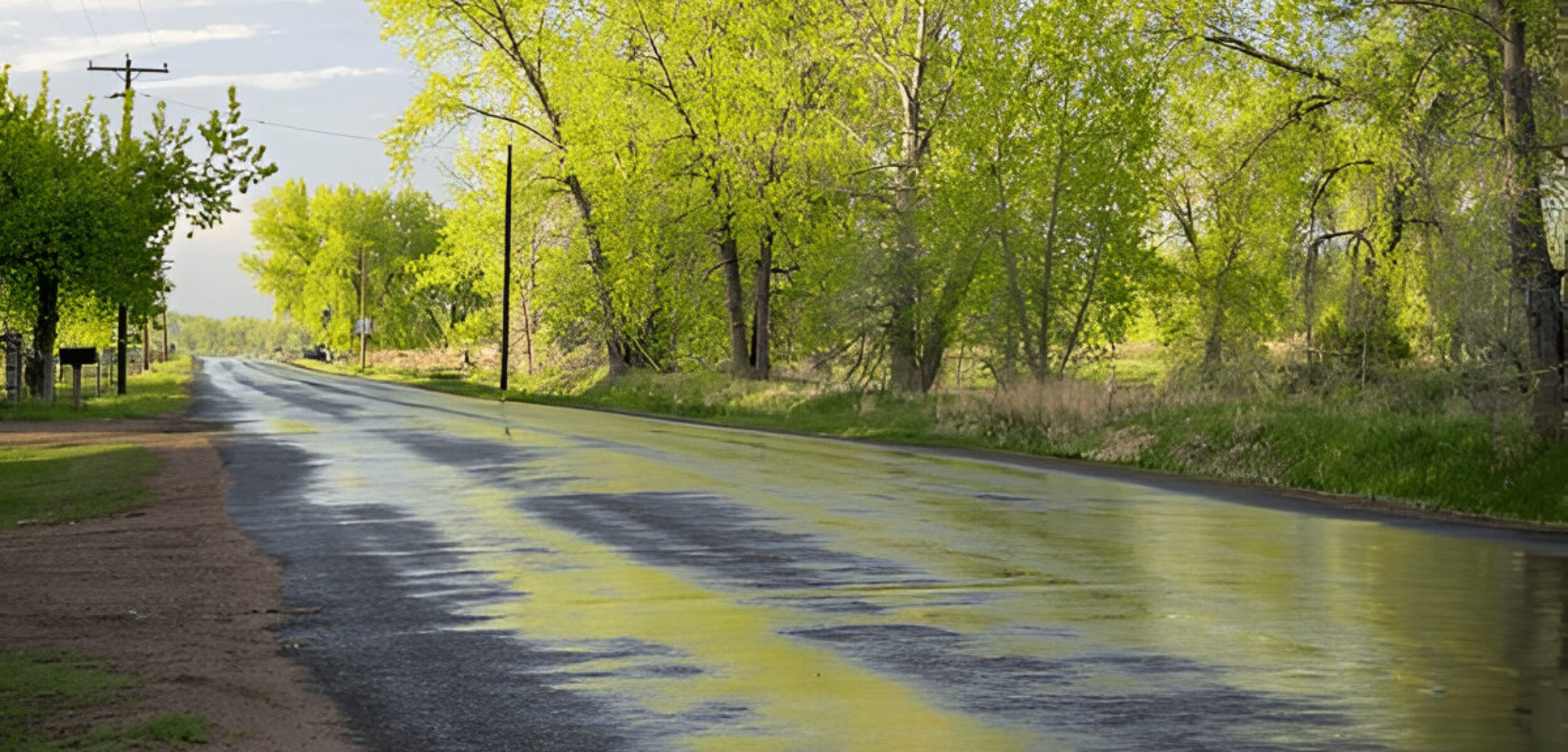 Ilustrasi cuaca cerah usai hujan.