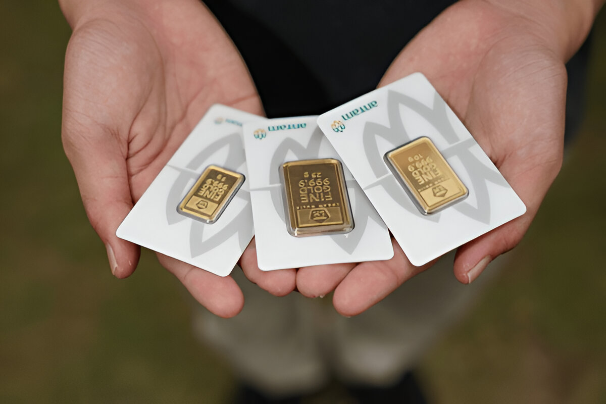 steptodown.com735521