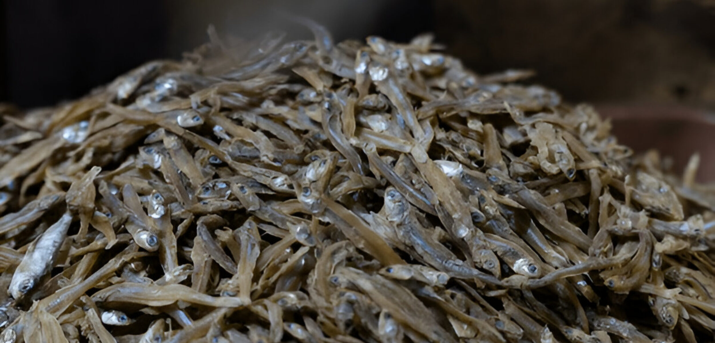 steptodown.com800349