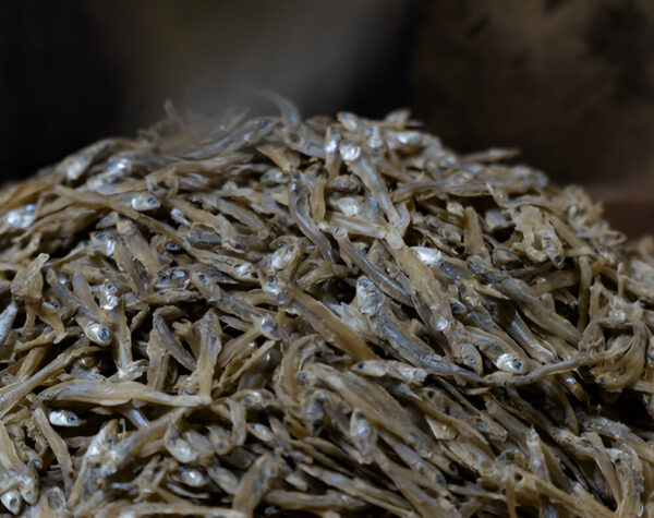 Harga Ikan Asin Teri Se-Jatim Hari Ini, Tembus Rp108.000 di Jember