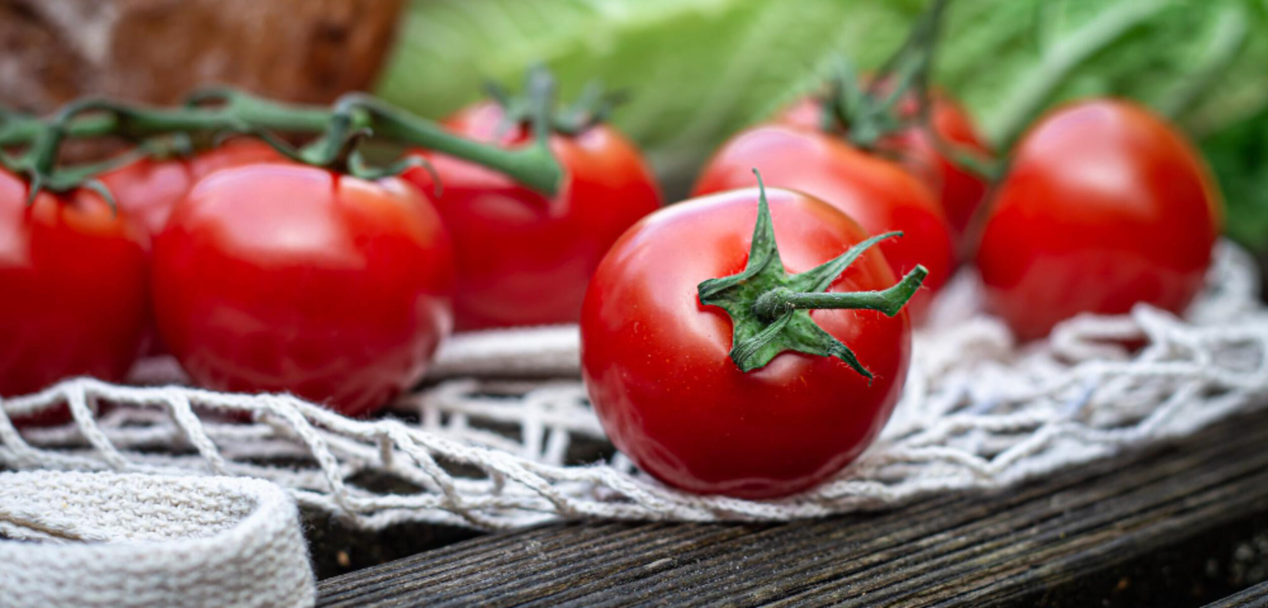 20763 1 Ilustrasi bahan pokok tomat.