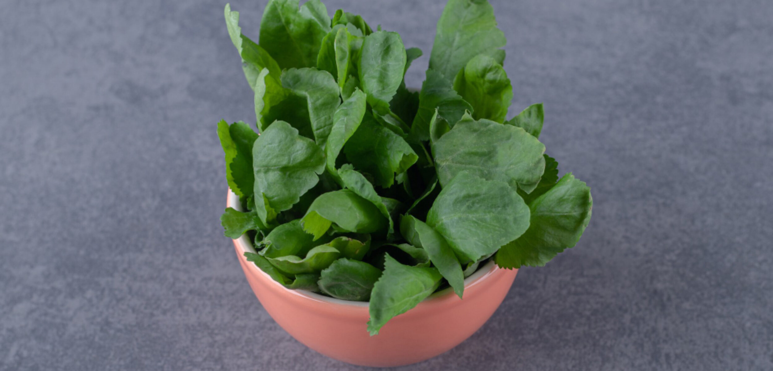 Ilustrasi bayam duri. (Freepik)