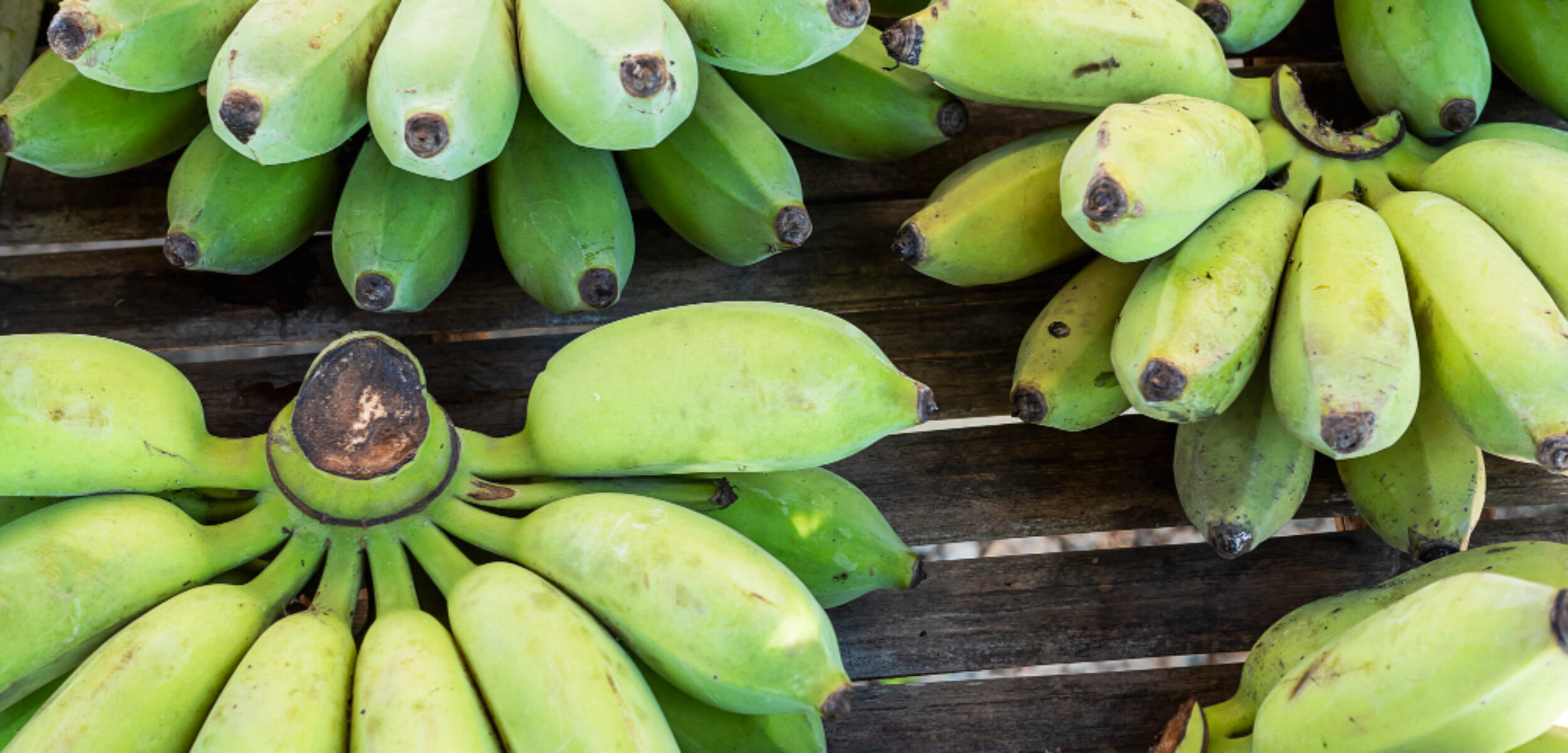 Ilustrasi komoditas pisang ambon. (Freepik)