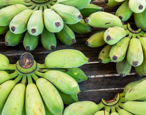 Pekan Keempat Oktober 2025: Harga Pisang Ambon Naik 5 Persen, Minyak Goreng Turun