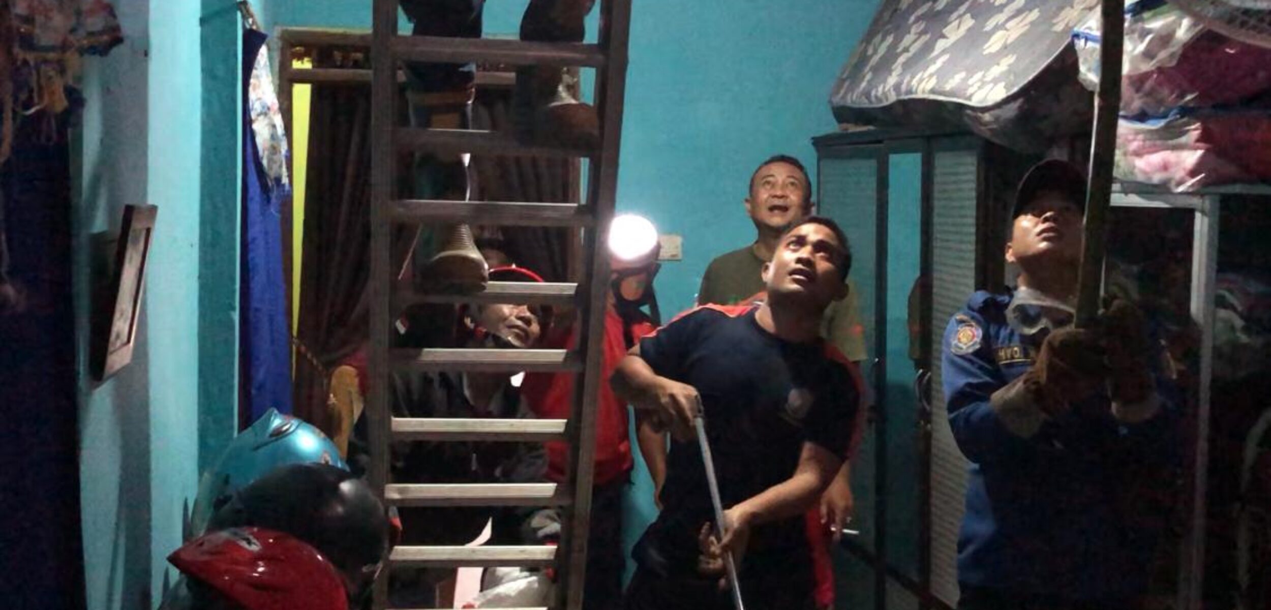 Petugas Damkar saat mengevakuasi ular.