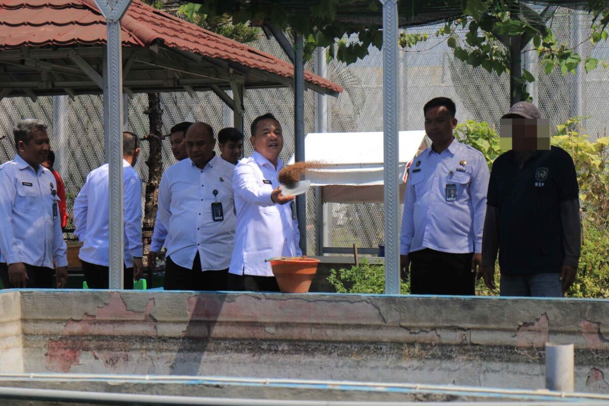 IMG 20250820 WA0035 11zon