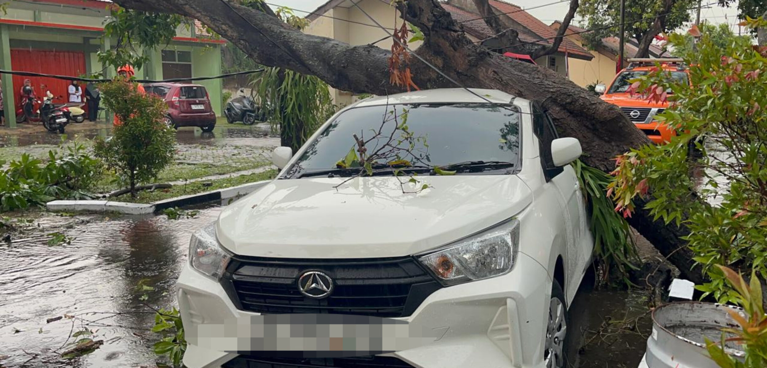Pohon besar tumbang di area Balai Latihan Kerja Industri (BLKI) Jawa Timur, Desa Jabon, Kecamatan Mojoanyar menimpa Daihatsu Ayla (Redaksi / Kabarterdepan.com)