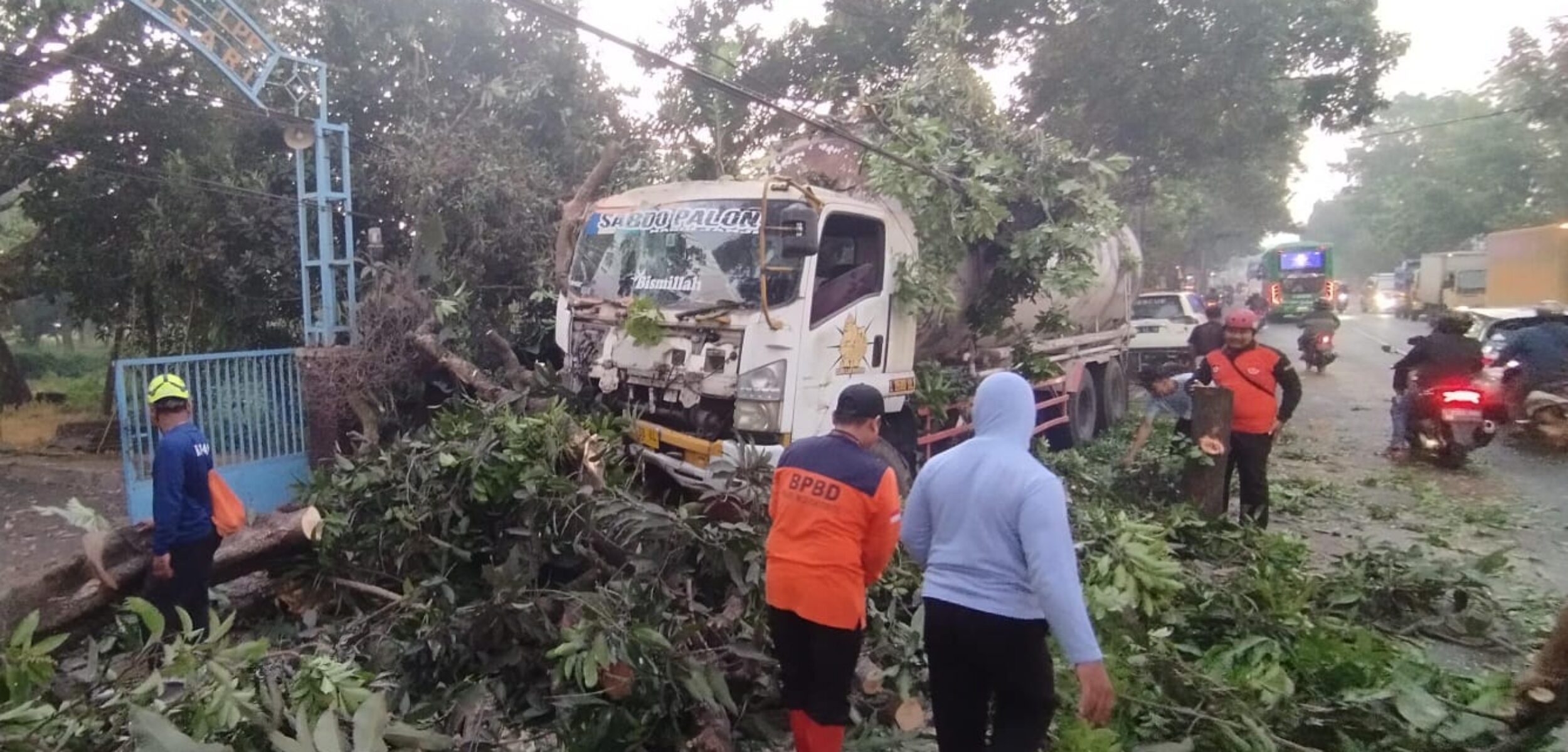 Petugas saat mengevakuasi pohon yang tumbang.