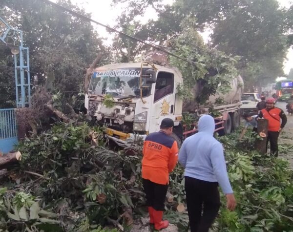 Pohon Tumbang Akibat Ditabrak Truk di Jalan Raya Ngranggon, Lalu Lintas Sempat Tersendat