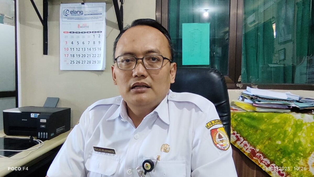 WhatsApp Image 2025 08 06 at 17.52.51 c0b09bef