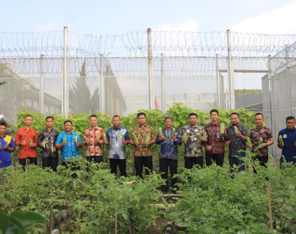 SAE Lapas Pemuda Madiun Sukses Panen Mentimun dan Sawi, Dukung Program Ketahanan Pangan Nasional