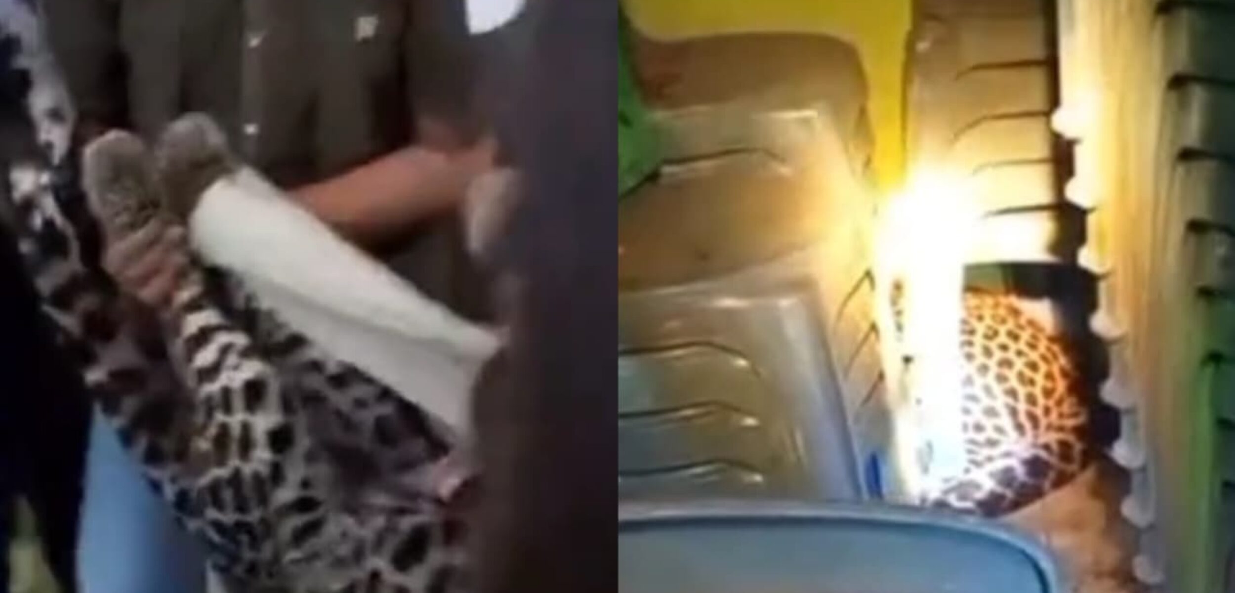 WhatsApp Image 2025 08 28 at 15.44.25 41773696