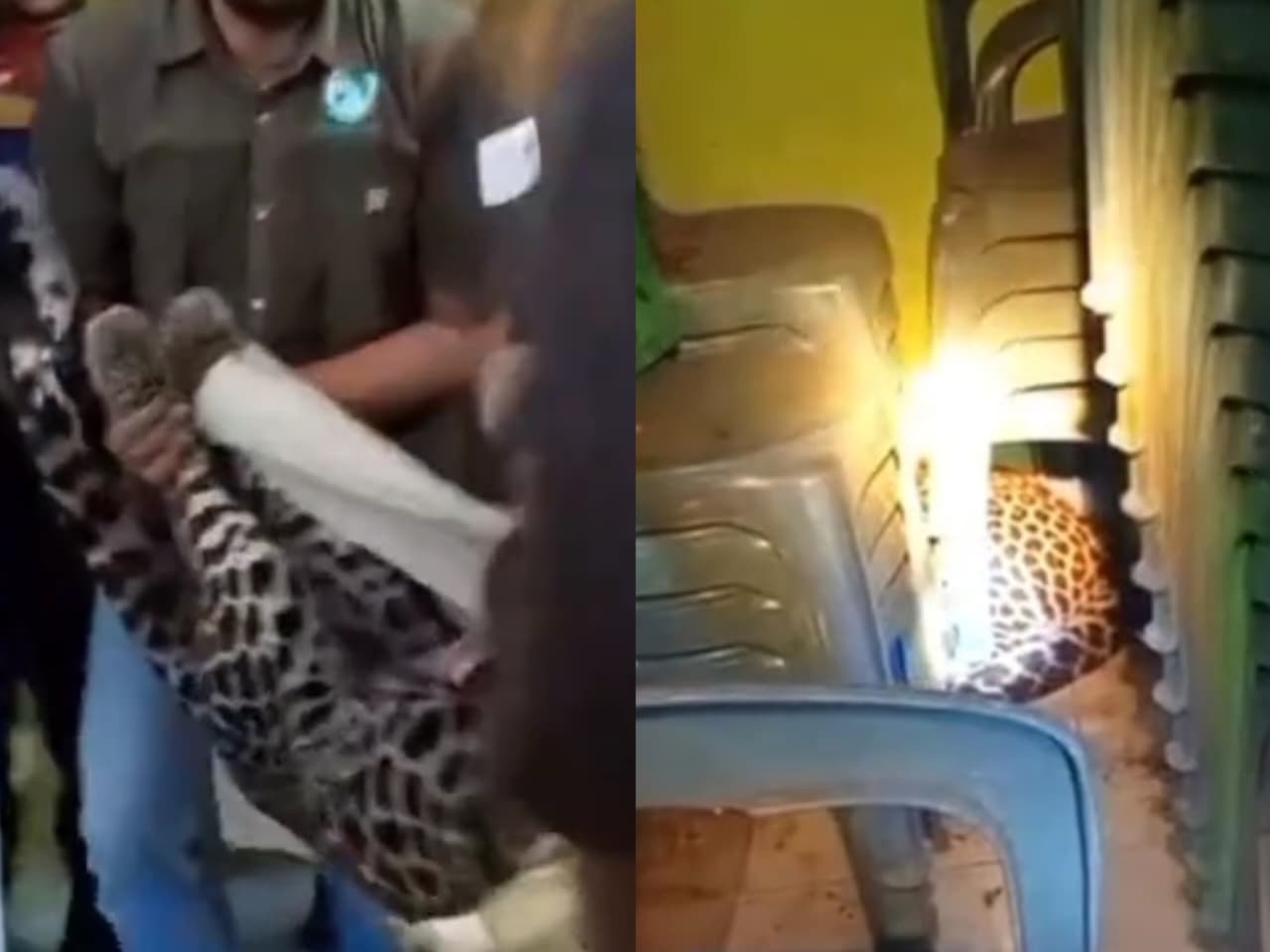 WhatsApp Image 2025 08 28 at 15.44.25 41773696