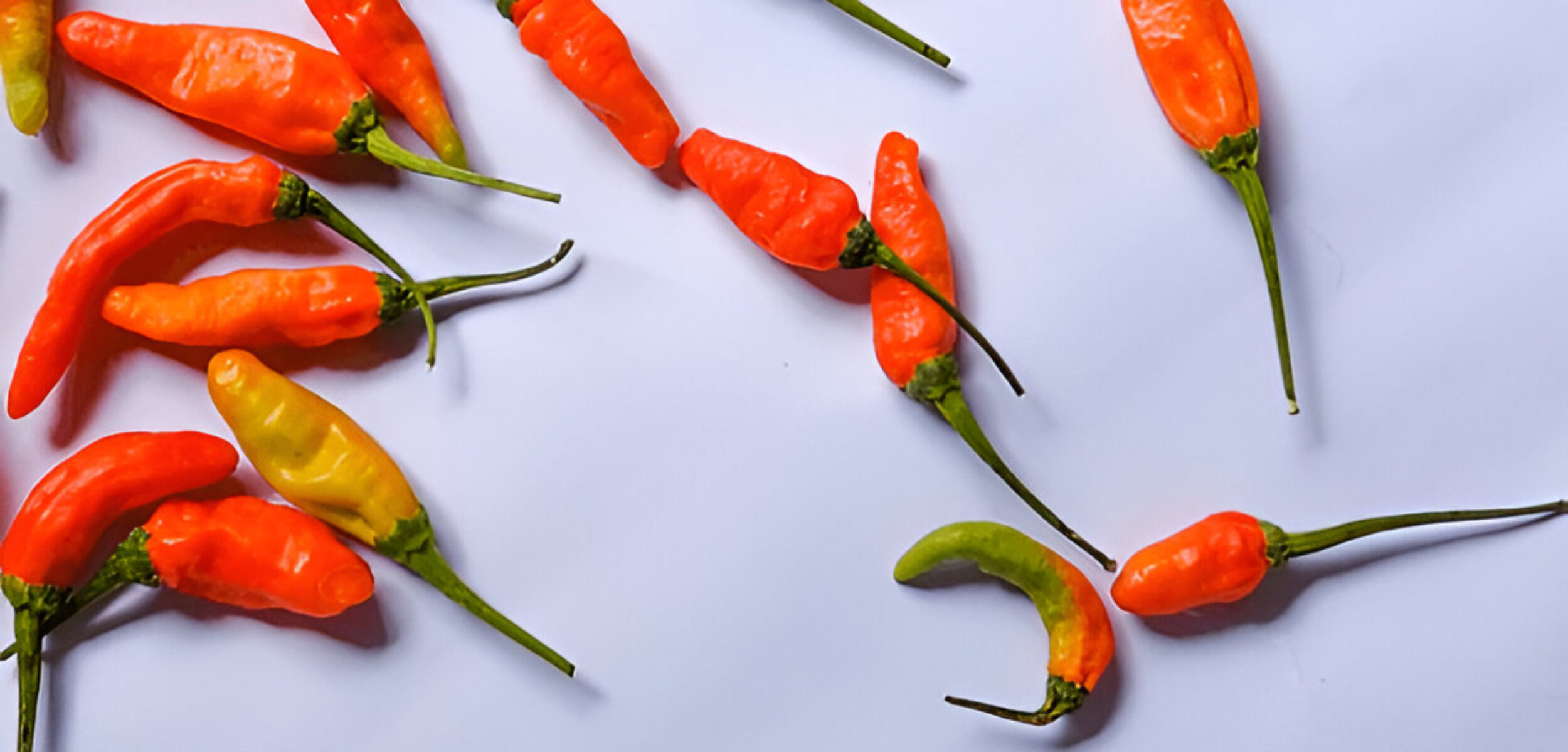 steptodown.com420800 1 Ilustrasi komoditas bahan pokok cabai rawit. (Freepik)