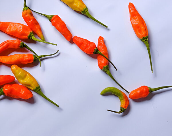 Harga Komoditas di Mojokerto Cenderung Turun, Cabai Rawit Anjlok 8 Persen