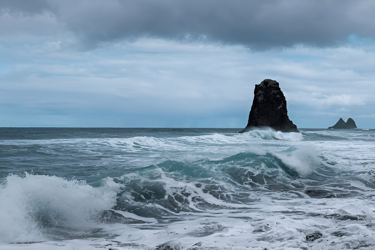 steptodown.com436542