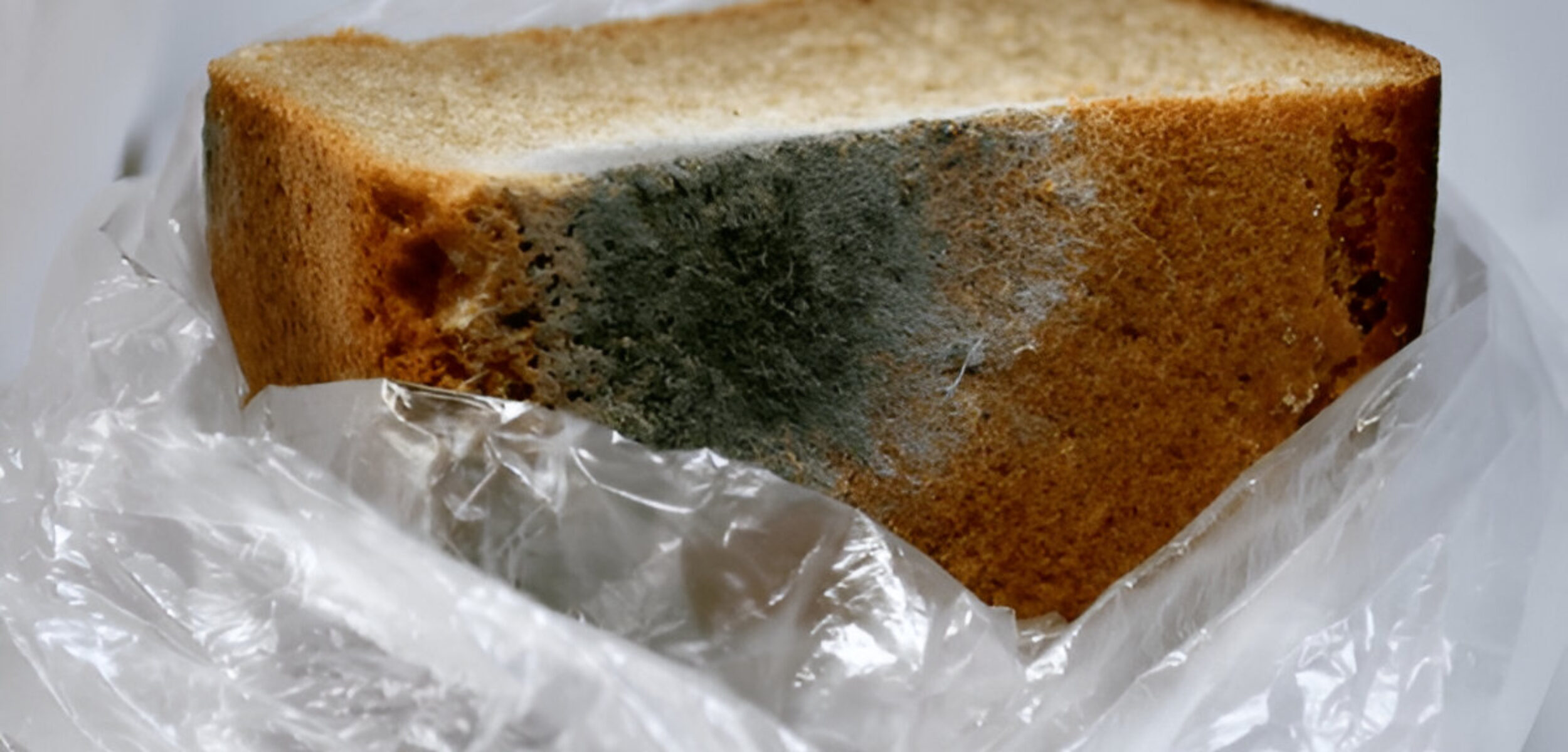 Ilustrasi roti berjamur. (Freepik)