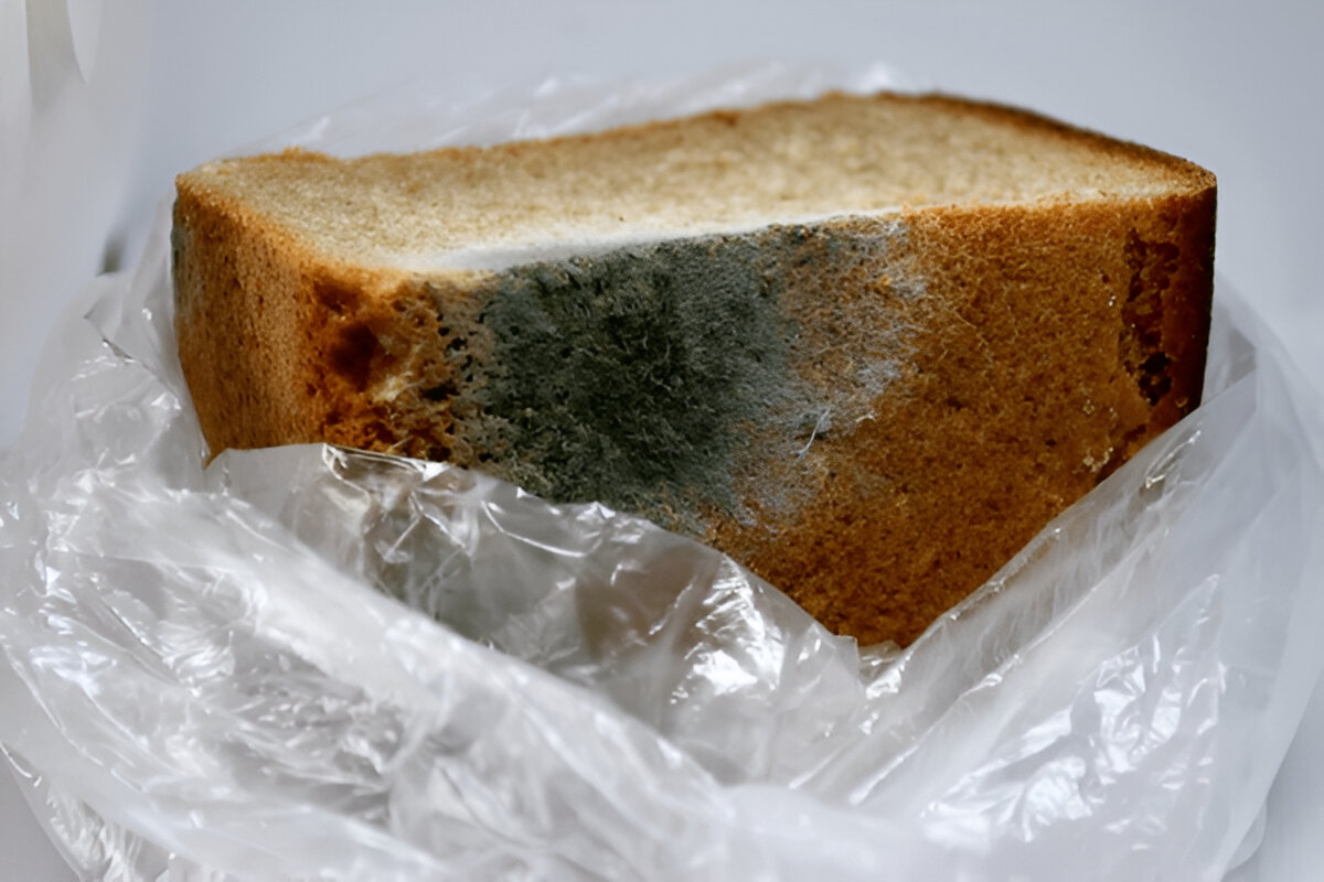 Ilustrasi roti berjamur. (Freepik)