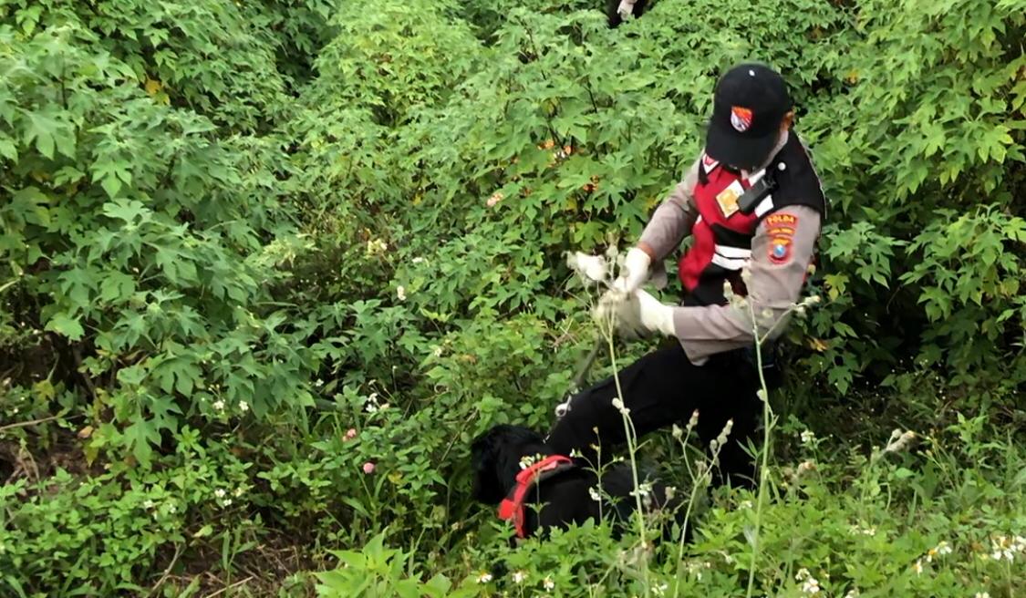 IMG 20250906 WA0117 1 Anjing Pelacak K-9 Polda Jatim diterjunkan di lokasi ditemukannya potongan tubuh, Sabtu (6/9/2025) (Redaksi / Kabarterdepan.com)