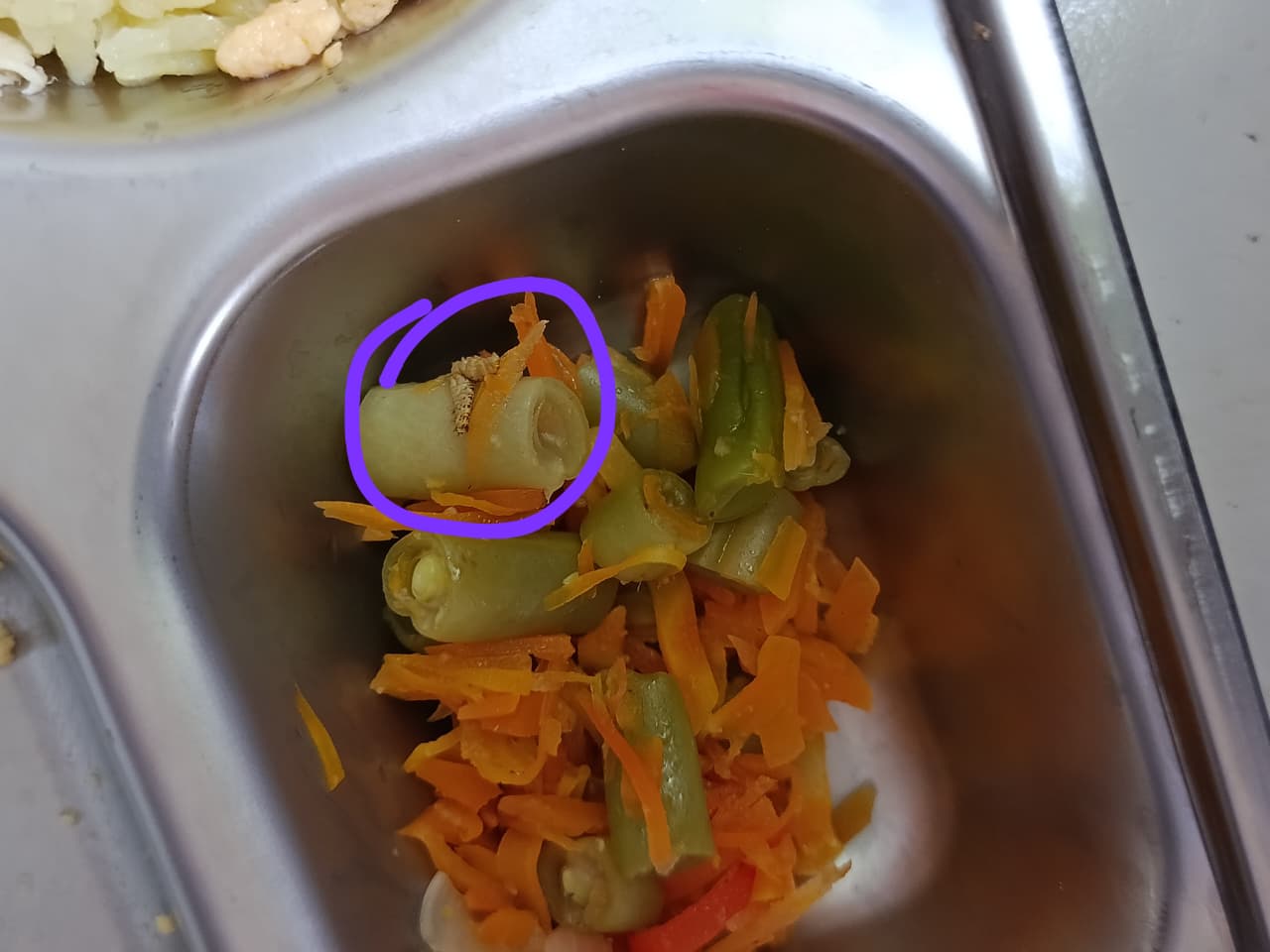 Makan Bergizi Gratis