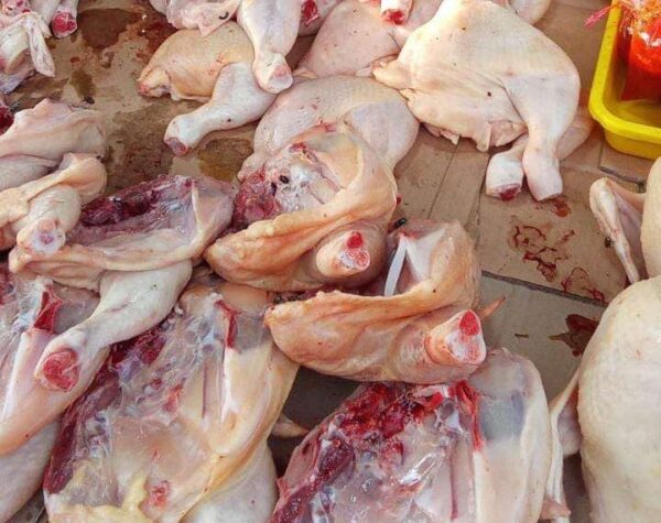 Harga Ayam Potong di Sampang Sempat Menyentuh Rp 45.000 per Kilogram, Kena Dampak MBG?