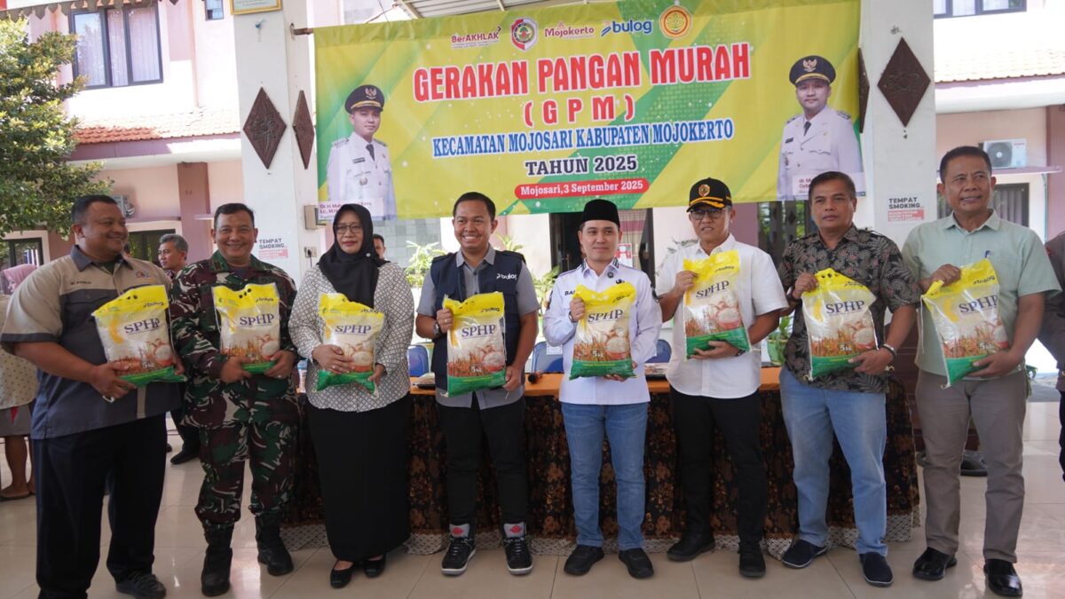 WhatsApp Image 2025 09 04 at 9.00.56 AM