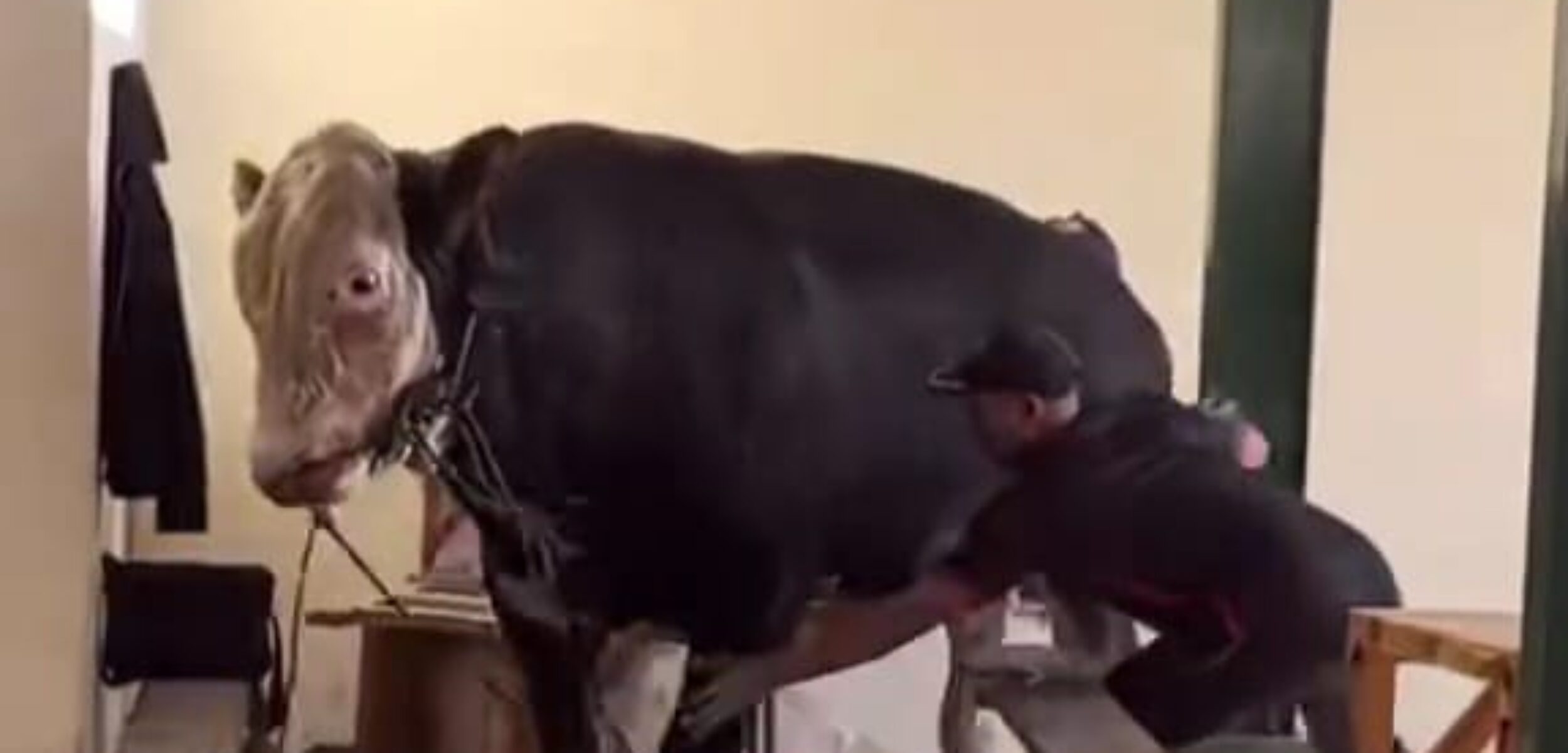 WhatsApp Image 2025 09 08 at 14.14.33 963ad626