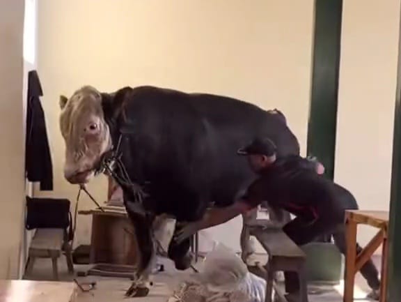 WhatsApp Image 2025 09 08 at 14.14.33 963ad626 1 WhatsApp Image 2025 09 08 at 14.14.33 963ad626