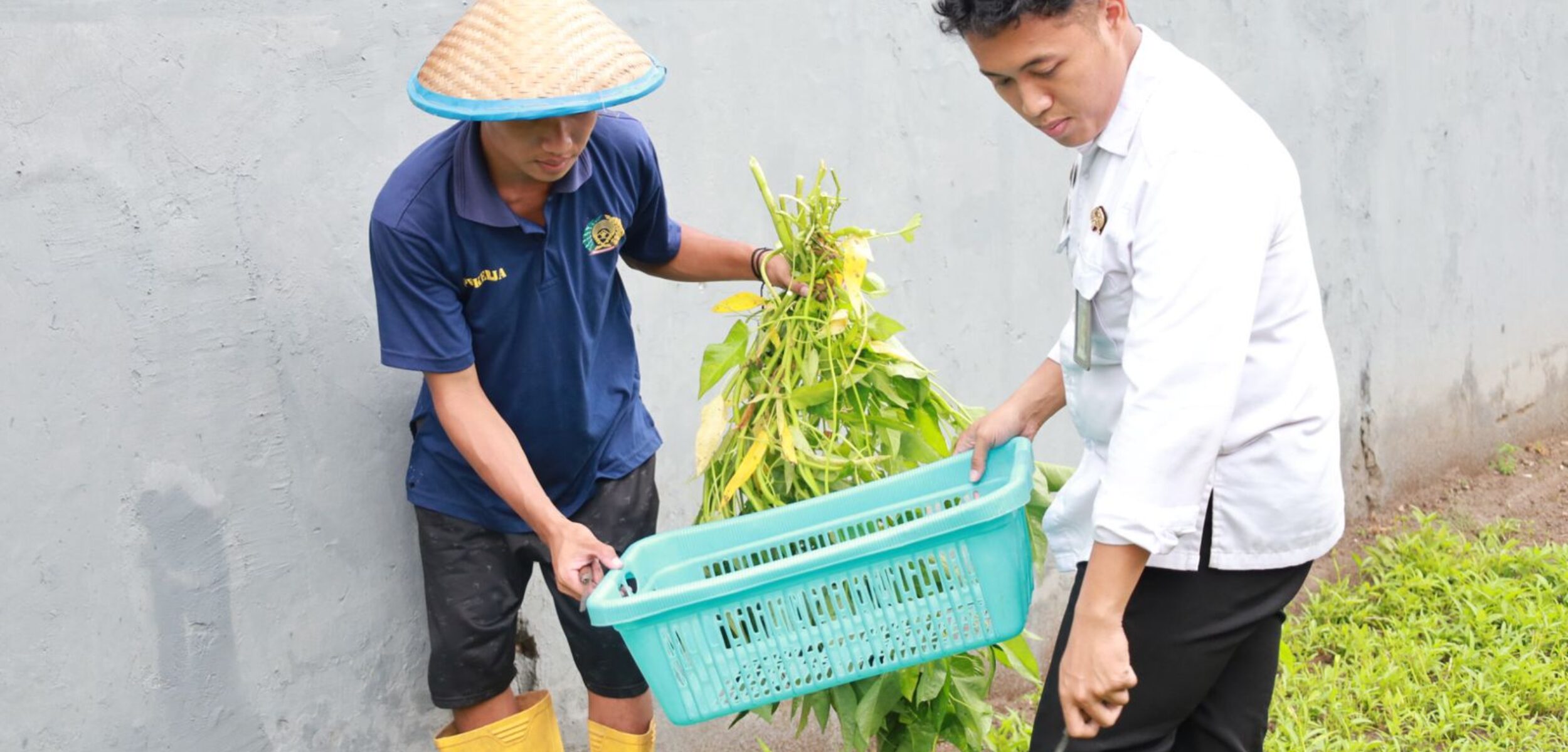 WhatsApp Image 2025 09 15 at 12.58.27 e86b2f7e