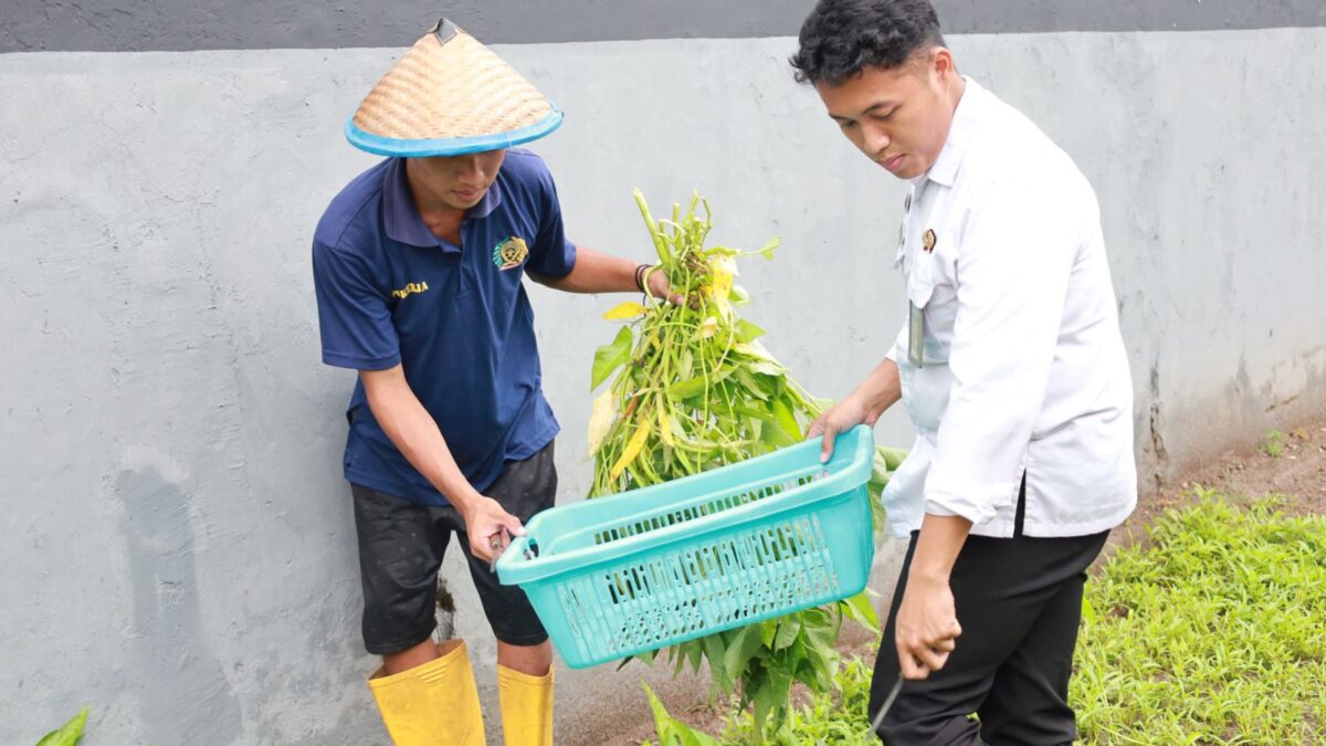 WhatsApp Image 2025 09 15 at 12.58.27 e86b2f7e