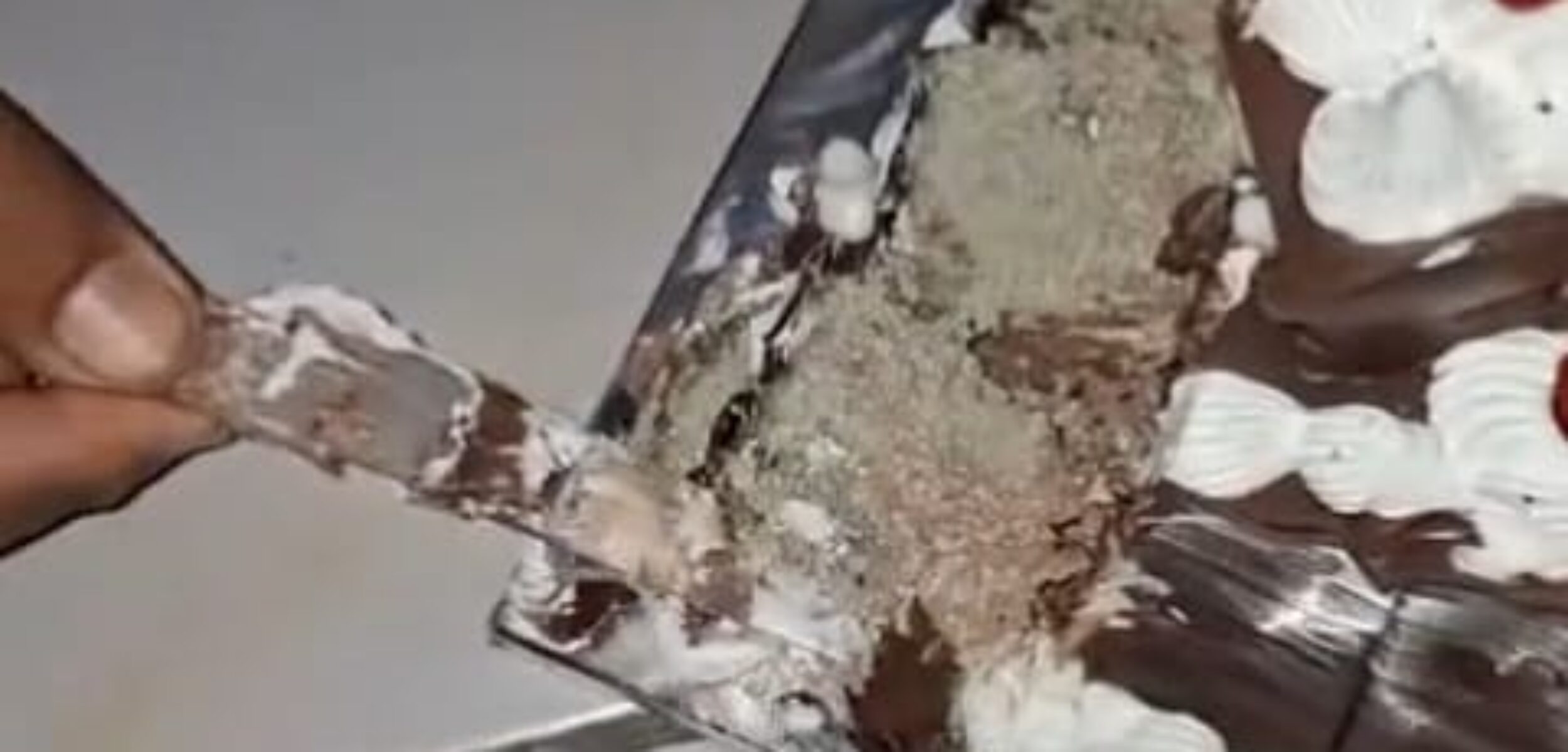 Potret kue ultah berjamur yang dibeli di Pasar Kue Subuh Senen Jakarta. (TikTok @liww_17)