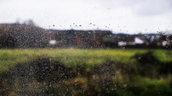 Cuaca Kabupaten Mojokerto Besok hingga Kamis (26/2): Hujan