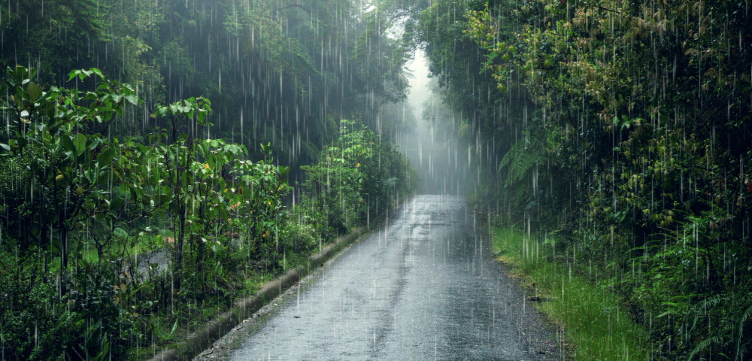 Cuaca Kota Blitar 28-29 Januari 2026, BMKG: Hujan