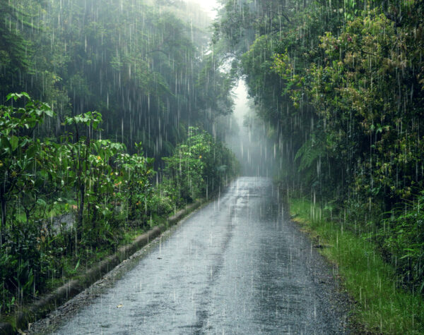 Cuaca Kota Blitar, Besok 16 Oktober 2025 Diprakirakan Hujan