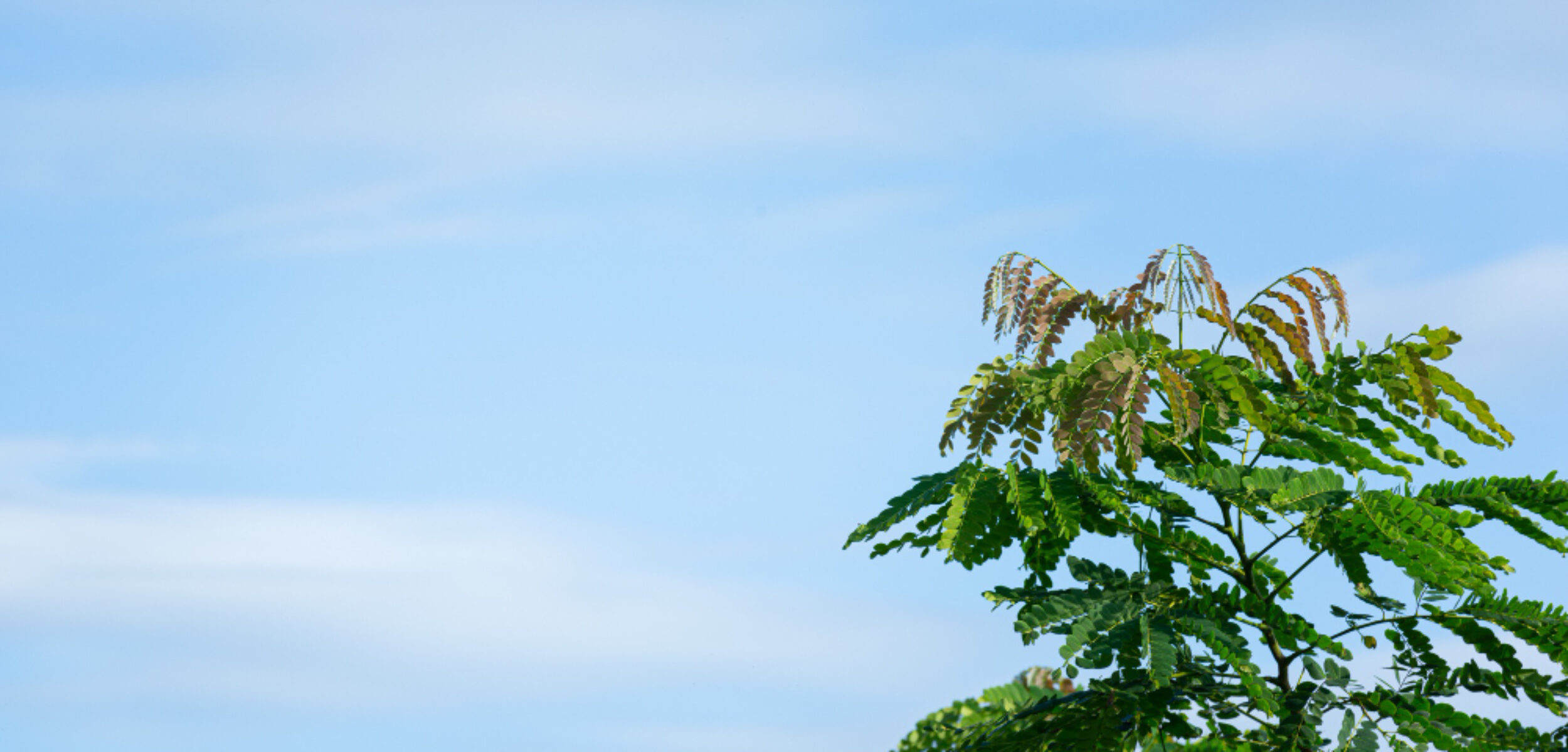 cuaca blitar cerah berawan.