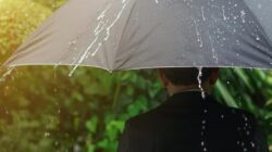 Prakiraan Cuaca Besok di Jawa Timur, Berawan hingga Hujan 15 Februari 2026