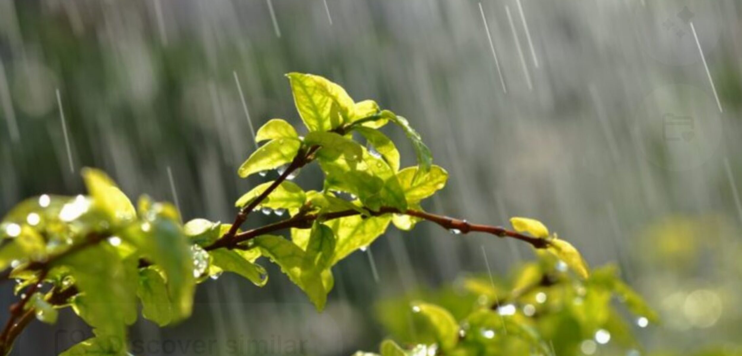 Cuplikan layar 2025 10 18 123714 2 prakiraan cuaca trawas mojokerto