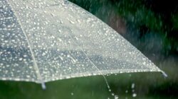 Prakiraan Cuaca Besok di Jawa Timur (20/2) : Berawan hingga Hujan dan Berkabut