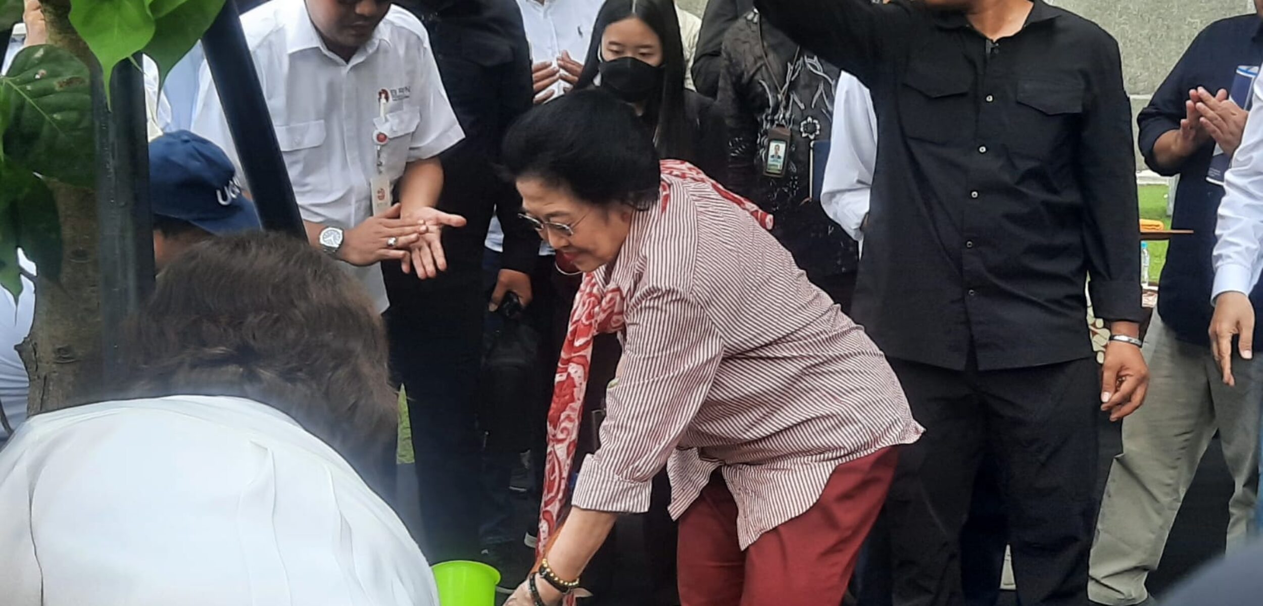 Dihadiri Megawati, BRIN-UGM Kerja Sama Komitmen Jaga Kekayaan Hayati