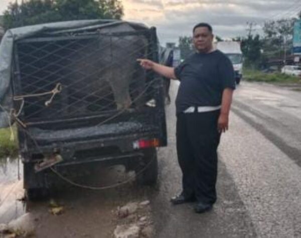Aksi Spesialis Pencuri Ternak Digagalkan Anggota Satlantas Polres Dharmasraya