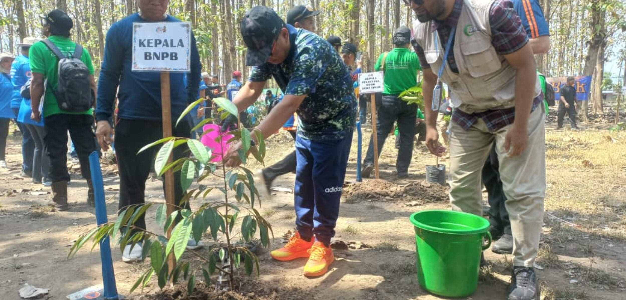 Sestama BNPB, Dr. Rustian mewakili Kepala BNPB bersama Juta Ajrullah Administrator Pusat Kemanusiaan AMCF Jawa Timur melakukan simbolis tanam pohon dalam rangkaian Puncak Peringatan Bulan PRB 2025 (foto: AMCF)