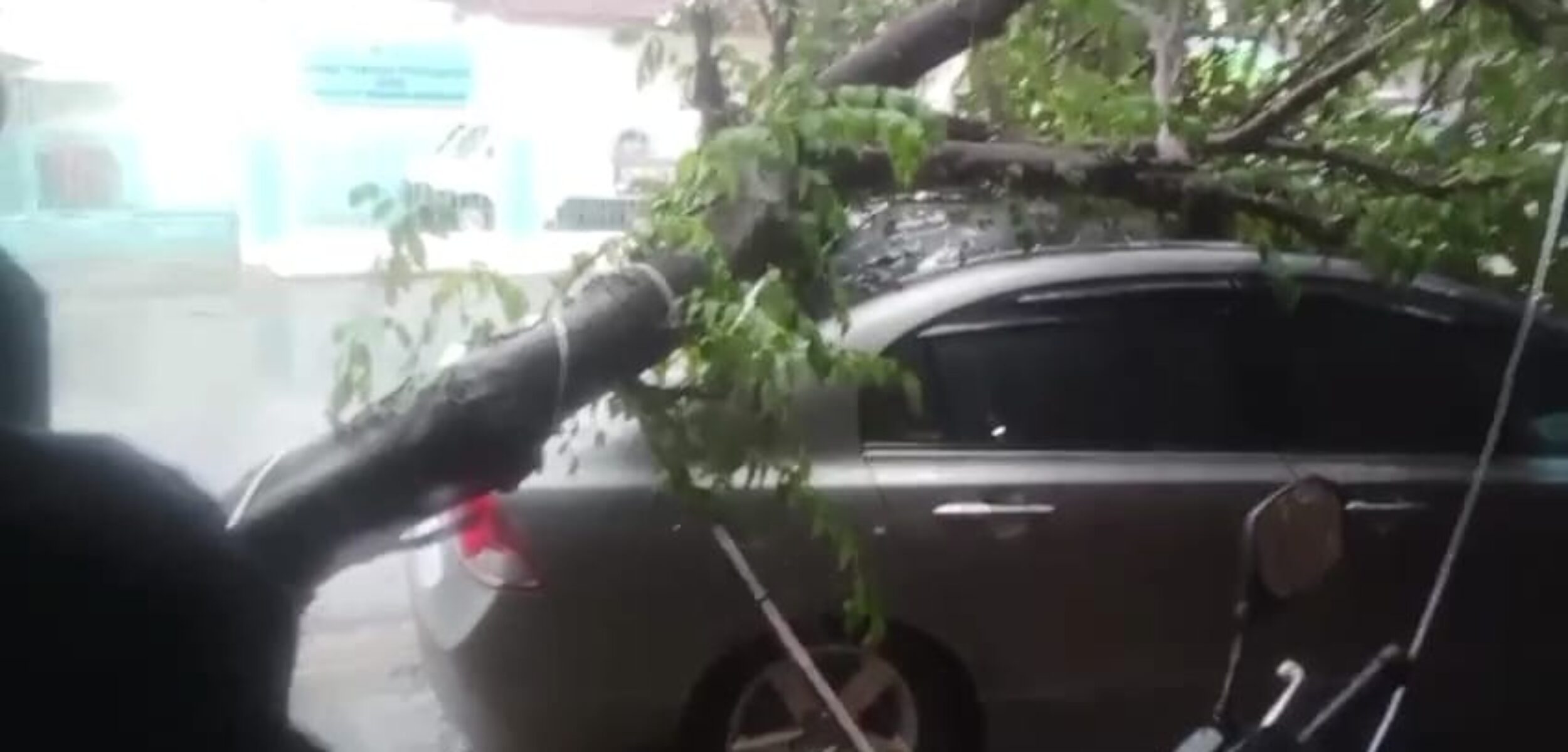 Potret hujan deras dan angin kencang mengakibatkan pohon tumbang dan rumah rusak. (Redaksi / Kabartedepan.com)