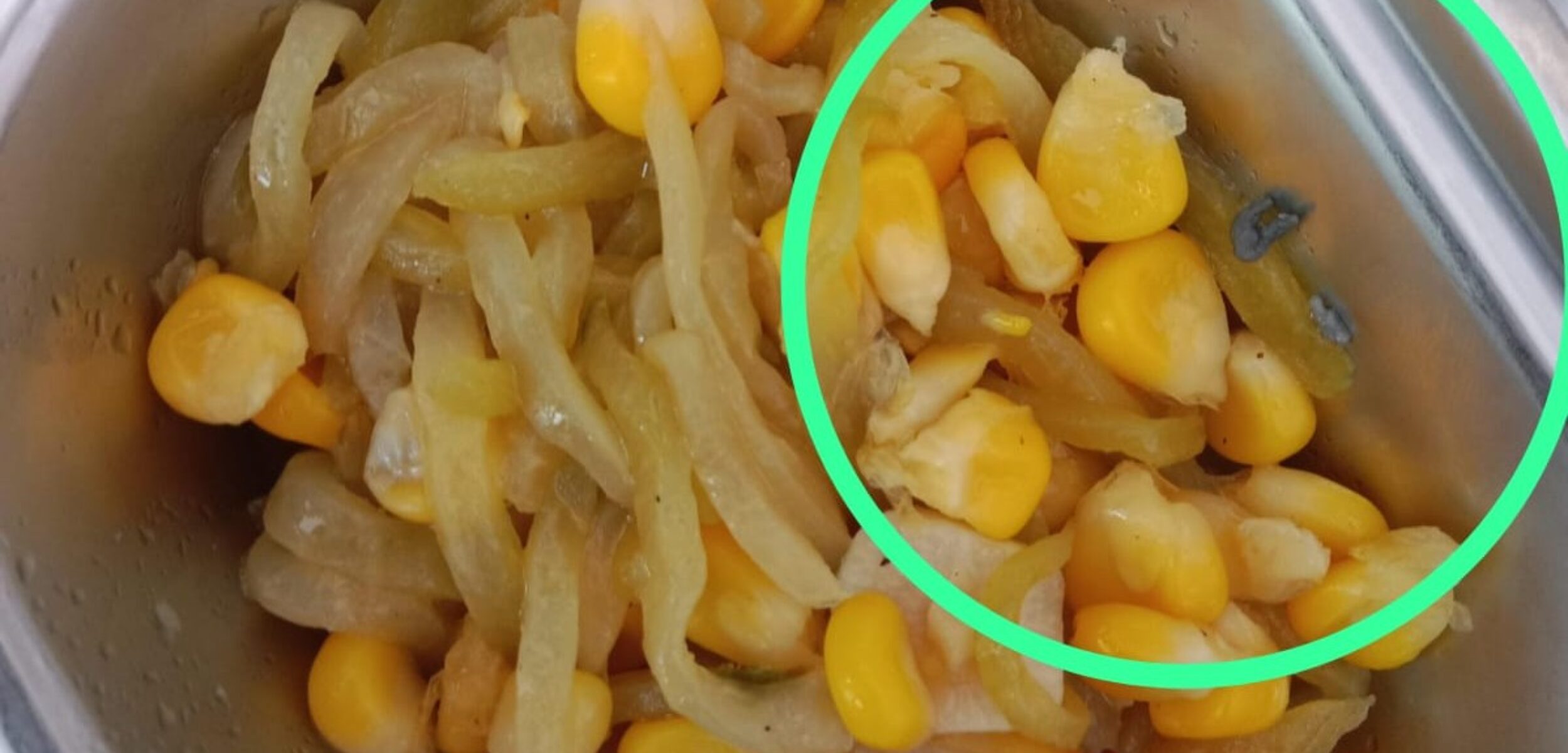 Potret diduga ulat dalam menu MBG salah satu ompreng siswa SDN Wates 2 Kota Mojokerto. (Izhah / Kabarterdepan.com)