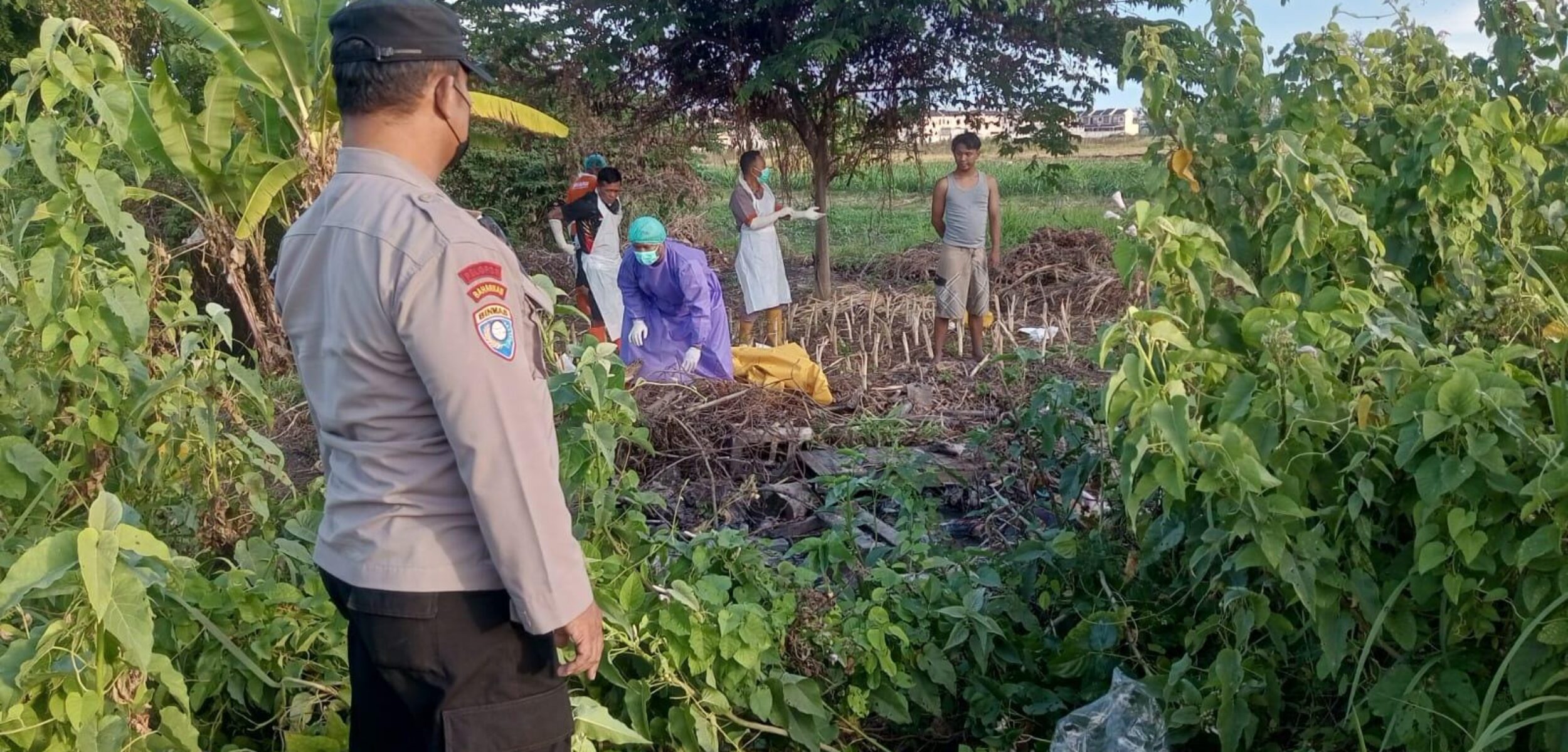 Penemuan jasad perempuan tanpa identitas di saluran irigasi kawasan persawahan Desa Sidodadi, Kecamatan Candi, Sidoarjo. (Redaksi Kabar Terdepan)
