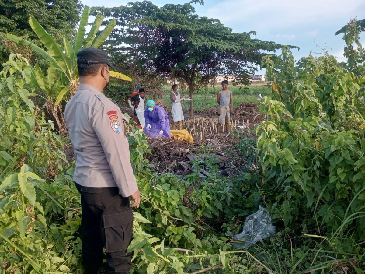 Penemuan jasad perempuan tanpa identitas di saluran irigasi kawasan persawahan Desa Sidodadi, Kecamatan Candi, Sidoarjo. (Redaksi Kabar Terdepan)