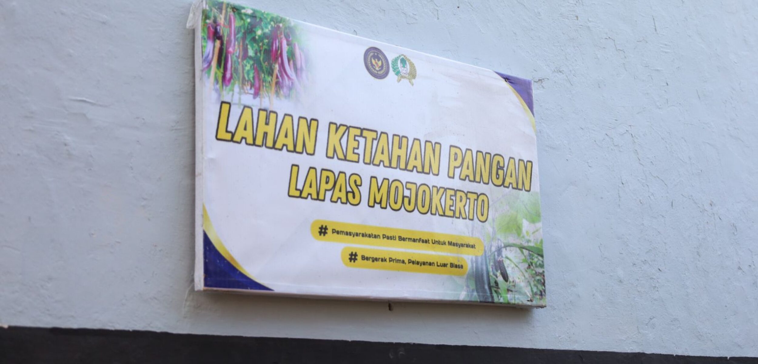 WhatsApp Image 2025 10 20 at 9.00.11 AM